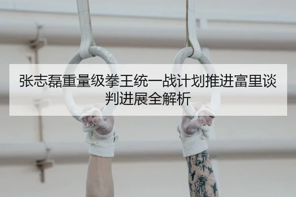 张志磊重量级拳王统一战计划推进富里谈判进展全解析